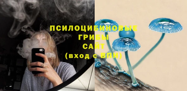 первитин Белокуриха