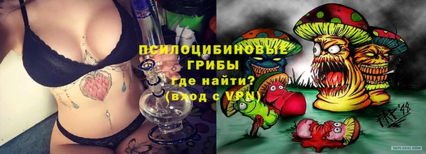 первитин Белокуриха
