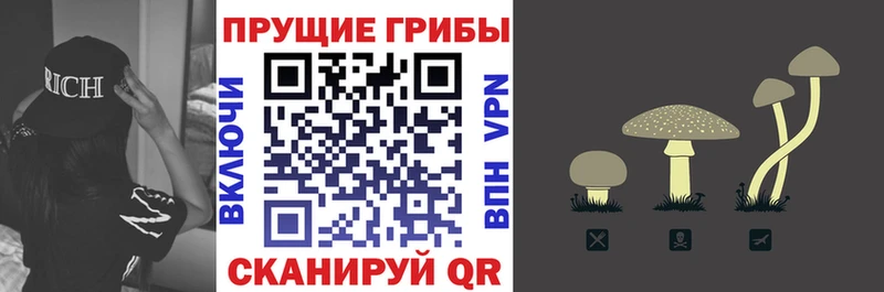 Галлюциногенные грибы Cubensis  купить наркотики цена  Гремячинск 